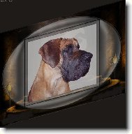 Deutsche Dogge