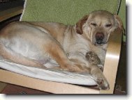 nedělní siesta