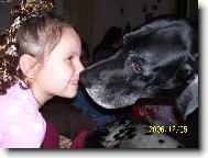 Deutsche Dogge