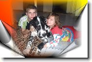 Deutsche Dogge