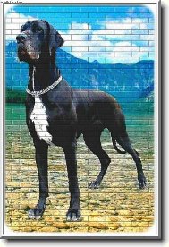 Deutsche Dogge