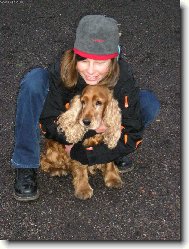 English Cocker Spaniel