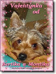 Jorkšírský terier, Yorkshire Terrier,