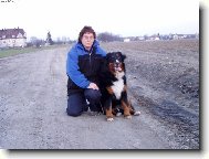 Berner Sennenhund