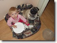 Pug