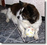 Nájde sa niekto, kto mi tú loptičku hodí?