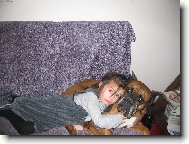 Deutscher boxer (Dog standard)