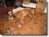 Deutscher boxer (Dog standard)