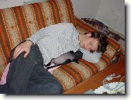 Pug (Dog standard)
