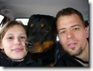 Rottweiler (Dog standard)