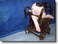 Bull Terrier