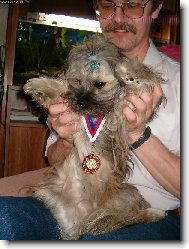 icu, Shih-Tzu
