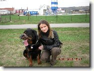 Rottweiler