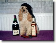 Poodle, Caniche