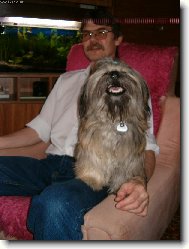 icu, Shih-Tzu
