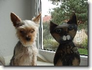 Jorkšírský terier, Yorkshire Terrier,