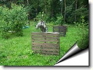 Deutsche Dogge