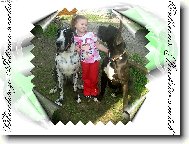 Deutsche Dogge