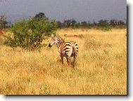 Republic of Kenya