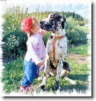 Deutsche Dogge