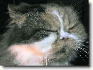 Send postcard: 259