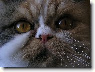 Send postcard: 261