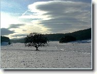 Send postcard: 1104