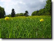 Send postcard: 1157