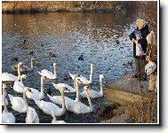 Send postcard: 1158