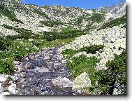 Send postcard: 1278
