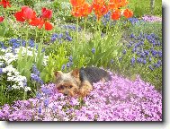 Send postcard: 736