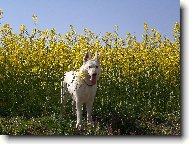 Send postcard: 1142