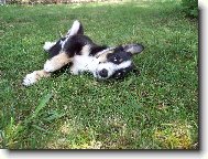 Send postcard: 137