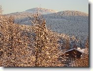Send postcard: 1118