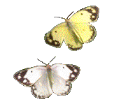 More smileys for free download