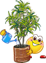 More smileys for free download