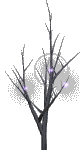 More smileys for free download
