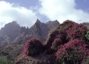 Photo: Cape Verde